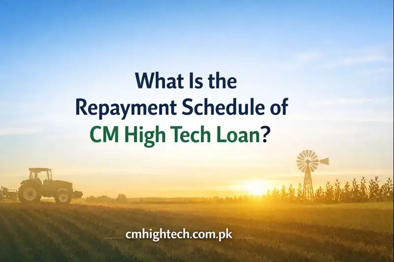 What Is the Repayment Schedule of CM High Tech Loan?